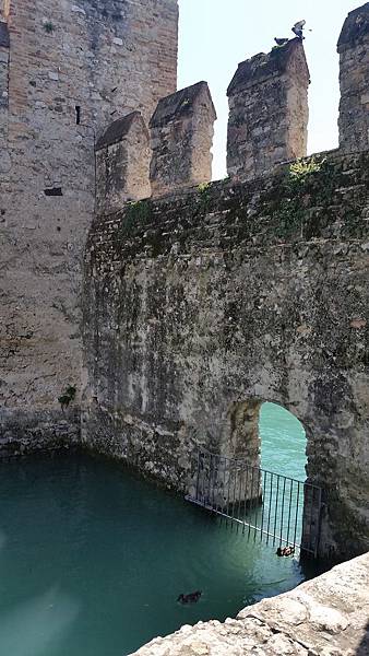 Europe 2018 1307.jpg