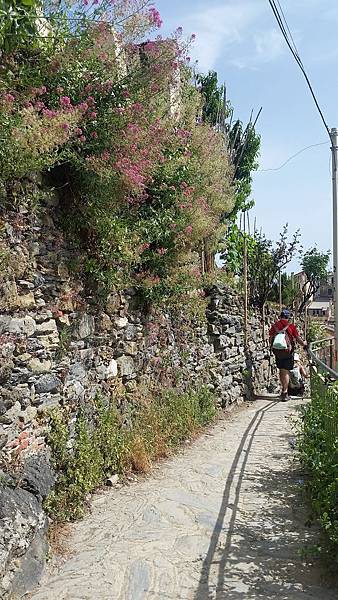 Europe 2018 1508.jpg