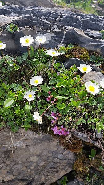 Europe 2018 2238.jpg