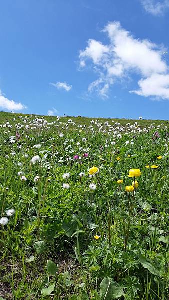 Europe 2018 2290.jpg Europe 2018 2290.jpg