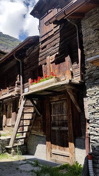 20180618_141859.jpg 20180618_141859.jpg