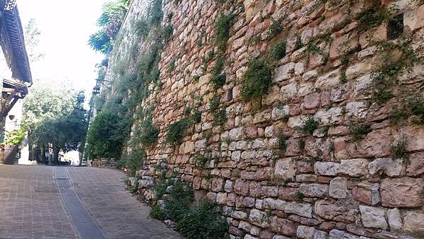 20180621_091158.jpg 20180621_091158.jpg