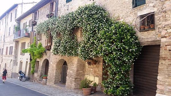 20180621_091634.jpg 20180621_091634.jpg