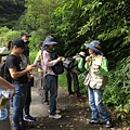 S__48775173.jpg