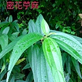 S__48775176.jpg