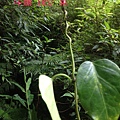 S__48775186.jpg