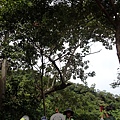 page03.JPG
