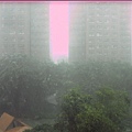 颱風日