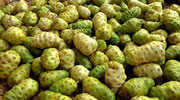 noni-fruit-s.jpg