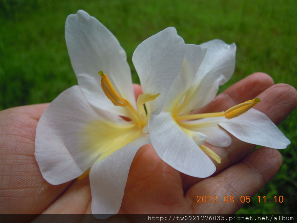 DSCN7364 DSCN7364