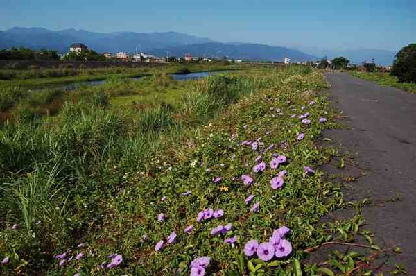 宜蘭民宿  三月三旅店  推薦宜蘭旅遊景點-  安農溪自行車道