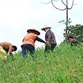 宜蘭民宿  三月三旅店  推薦宜蘭旅遊景點-  不老部落