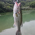 20110415-山水黑鱸競技場-1.jpg