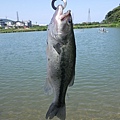 20110420-山水黑鱸競技場-13.jpg