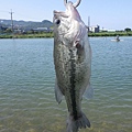 20110420-山水黑鱸競技場-14.jpg