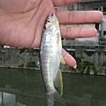 20110430-2.JPG