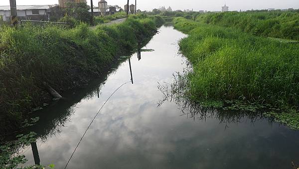 20140531 花蓮野場