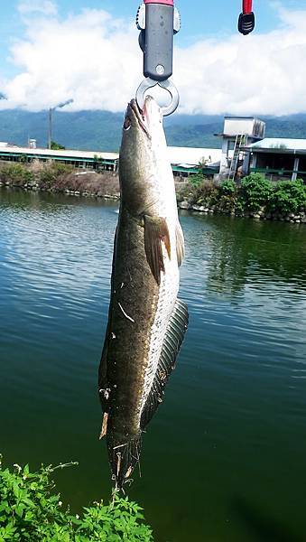 20140601 祕密基地