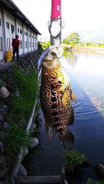 20140720 祕密基地