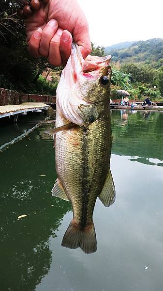 20141019 釣鱸魚的季節