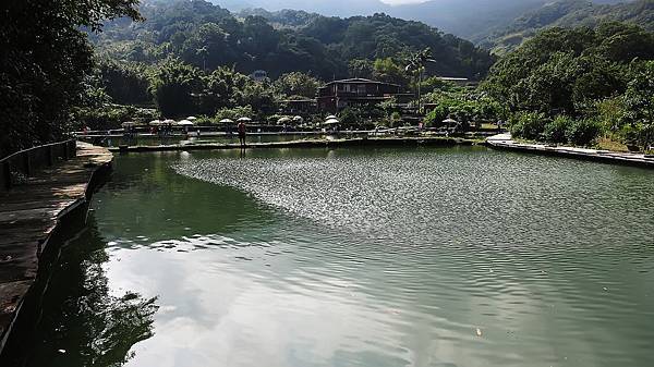 20141019 釣鱸魚的季節