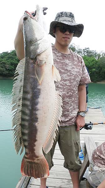 20150606 烏山頭魚虎遊