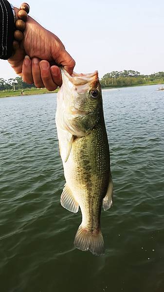 20151106 市外桃源休閒魚池