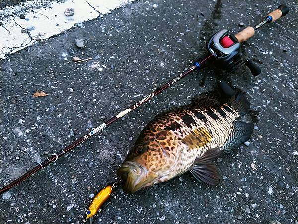 20170728 颱風天，釣魚天