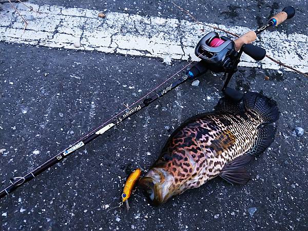 20170728 颱風天，釣魚天