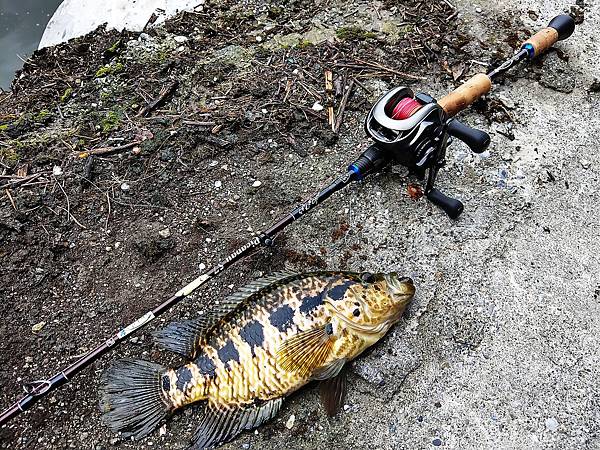 20170731 颱風天，釣魚天