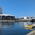 PXL_20231231_024920210.jpg