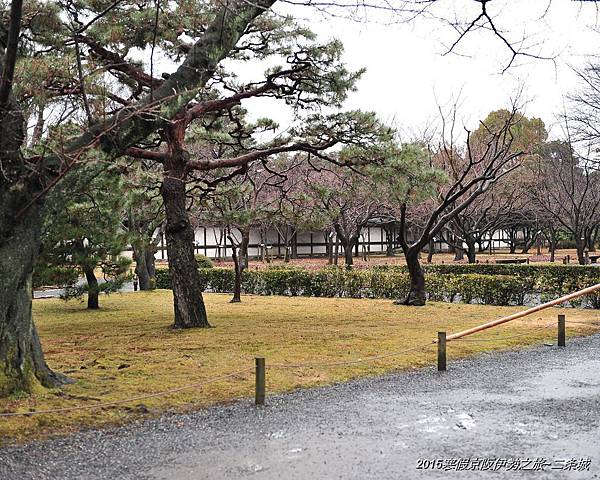 2015寒假京阪伊勢之旅~大政奉還的重要場景:二条城