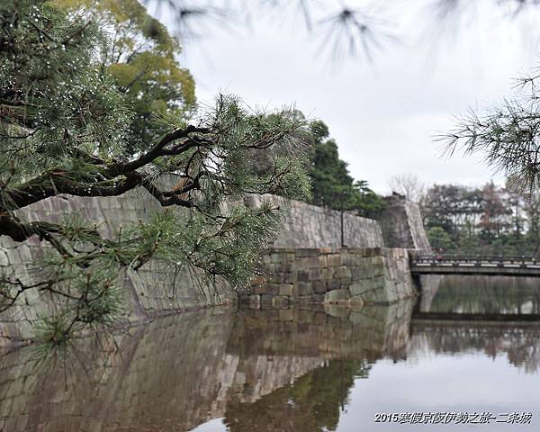2015寒假京阪伊勢之旅~大政奉還的重要場景:二条城