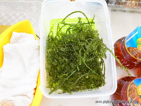 2016 寒假沖繩度假趣~古宇利島的美麗海灘