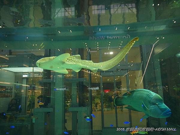 2016 寒假沖繩度假趣~可以瘋狂血拚的 AEON MALL