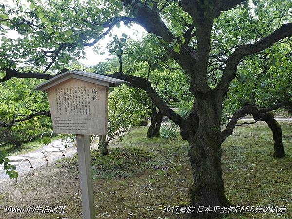 17暑假姊妹日本趴趴走 兼六園與金澤城跡 Vivian的生活記事 痞客邦