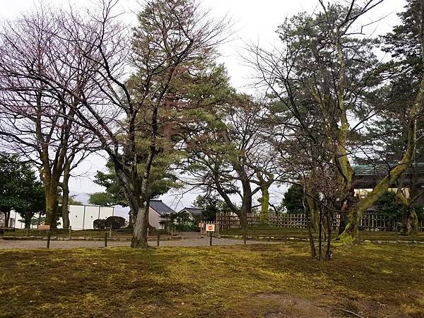 2019寒假日本中部北陸賞雪之旅~再度造訪金澤只為了兼六園的