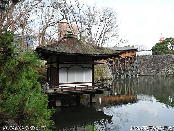 2020寒假京都居遊樂~和歌山城