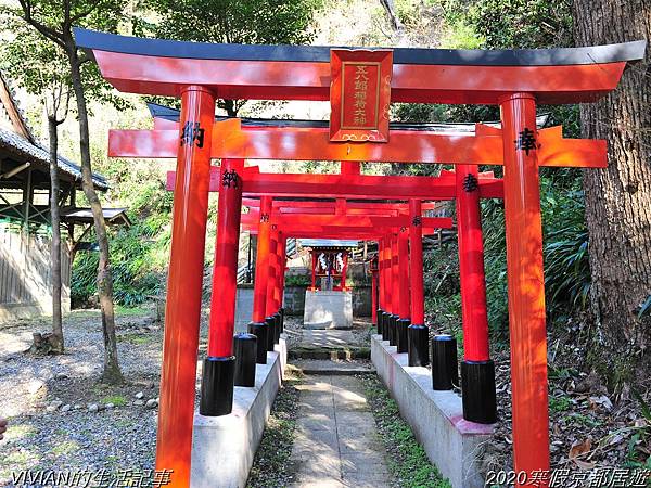 2020寒假京都居遊樂~參觀三多利山崎蒸餾所