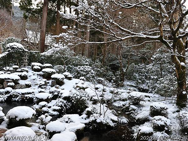 2020寒假京都居遊樂~大原三千院