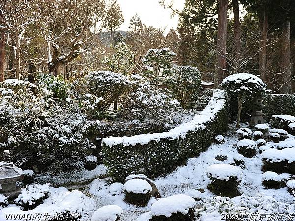 2020寒假京都居遊樂~大原三千院