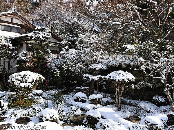 2020寒假京都居遊樂~大原三千院