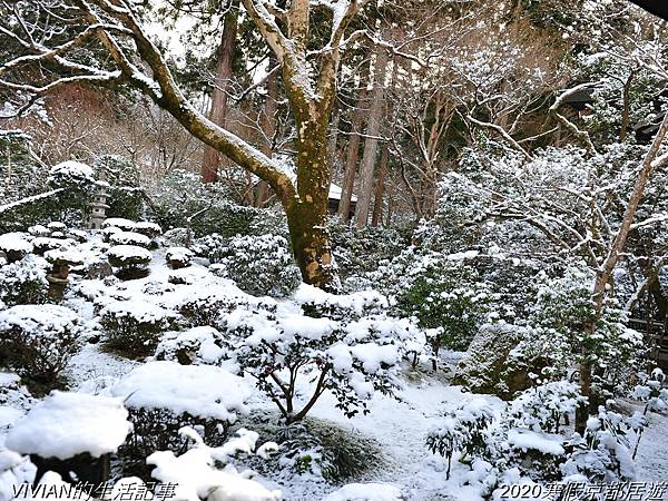 2020寒假京都居遊樂~大原三千院