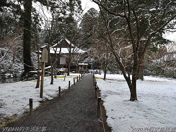 2020寒假京都居遊樂~大原三千院