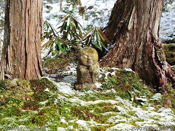 2020寒假京都居遊樂~大原三千院