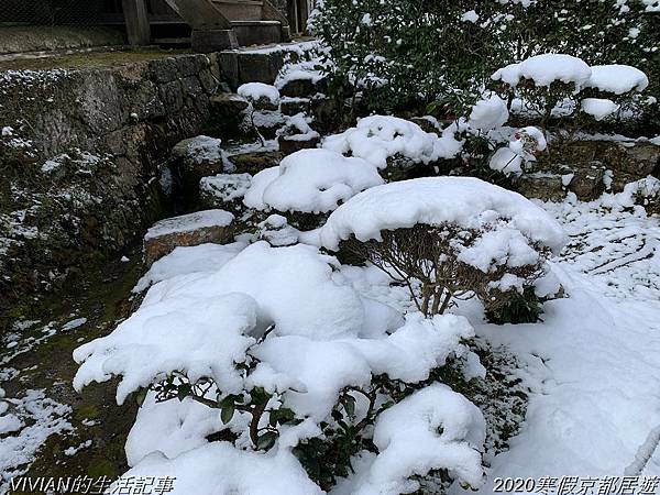 2020寒假京都居遊樂~大原三千院