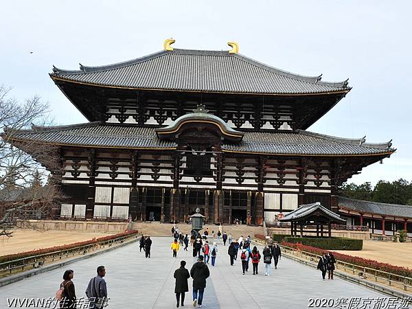 2020寒假京都居遊樂~三訪奈良東大寺