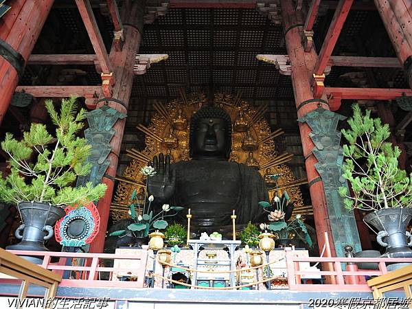 2020寒假京都居遊樂~三訪奈良東大寺