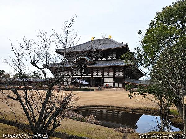 2020寒假京都居遊樂~三訪奈良東大寺