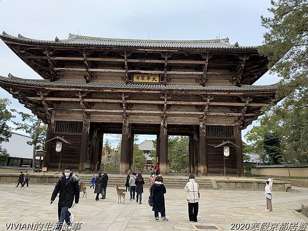 2020寒假京都居遊樂~三訪奈良東大寺